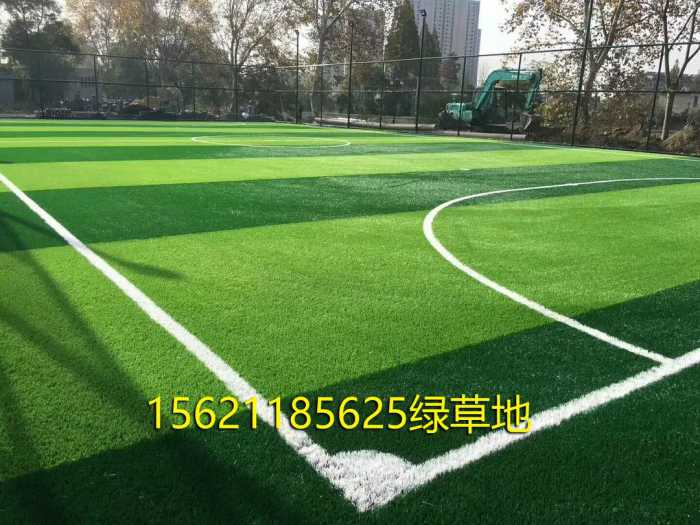 足球草坪多少钱一个平方米