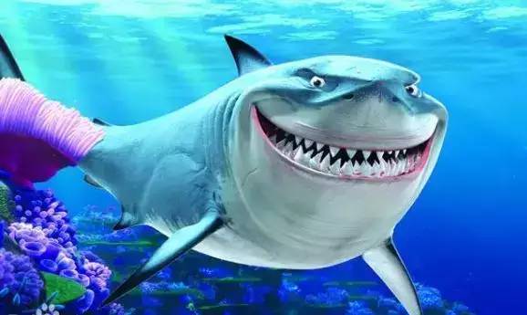 你知道吗？原来，鲨鱼一生都在换牙